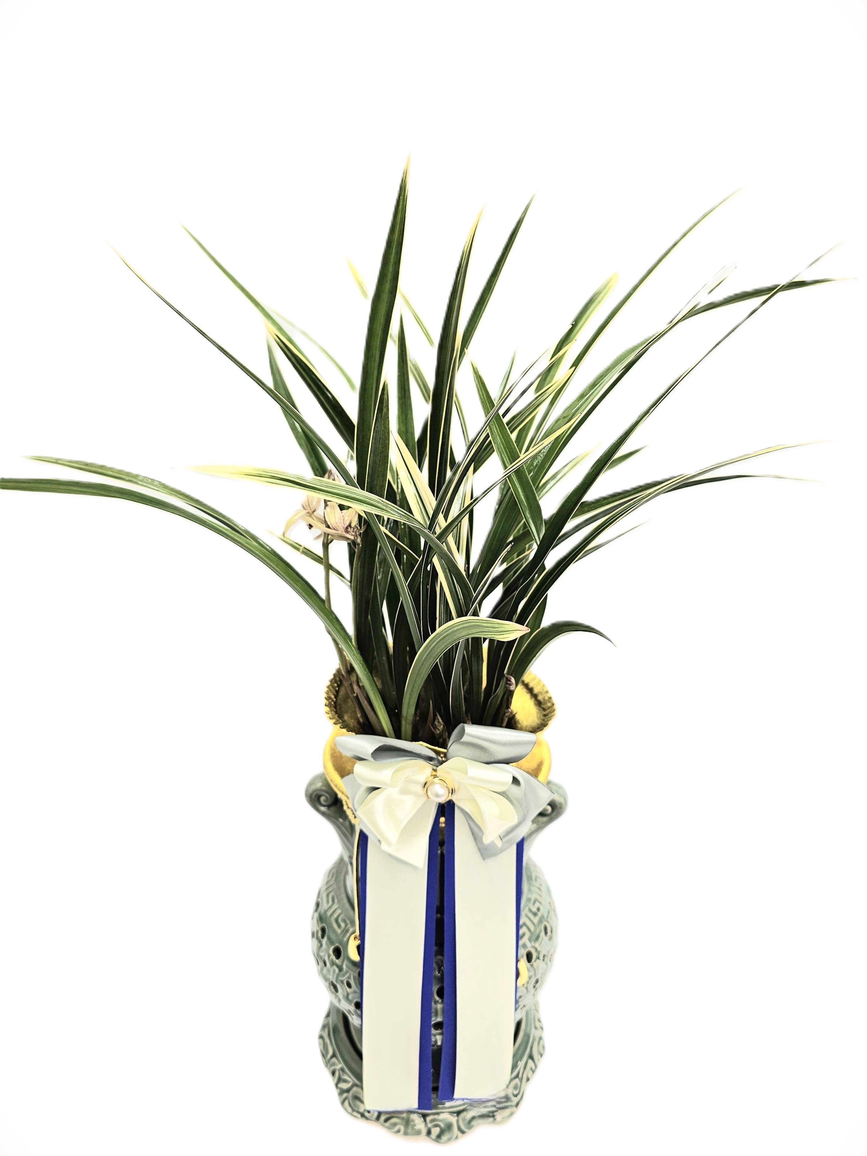 황룡금(투각분)