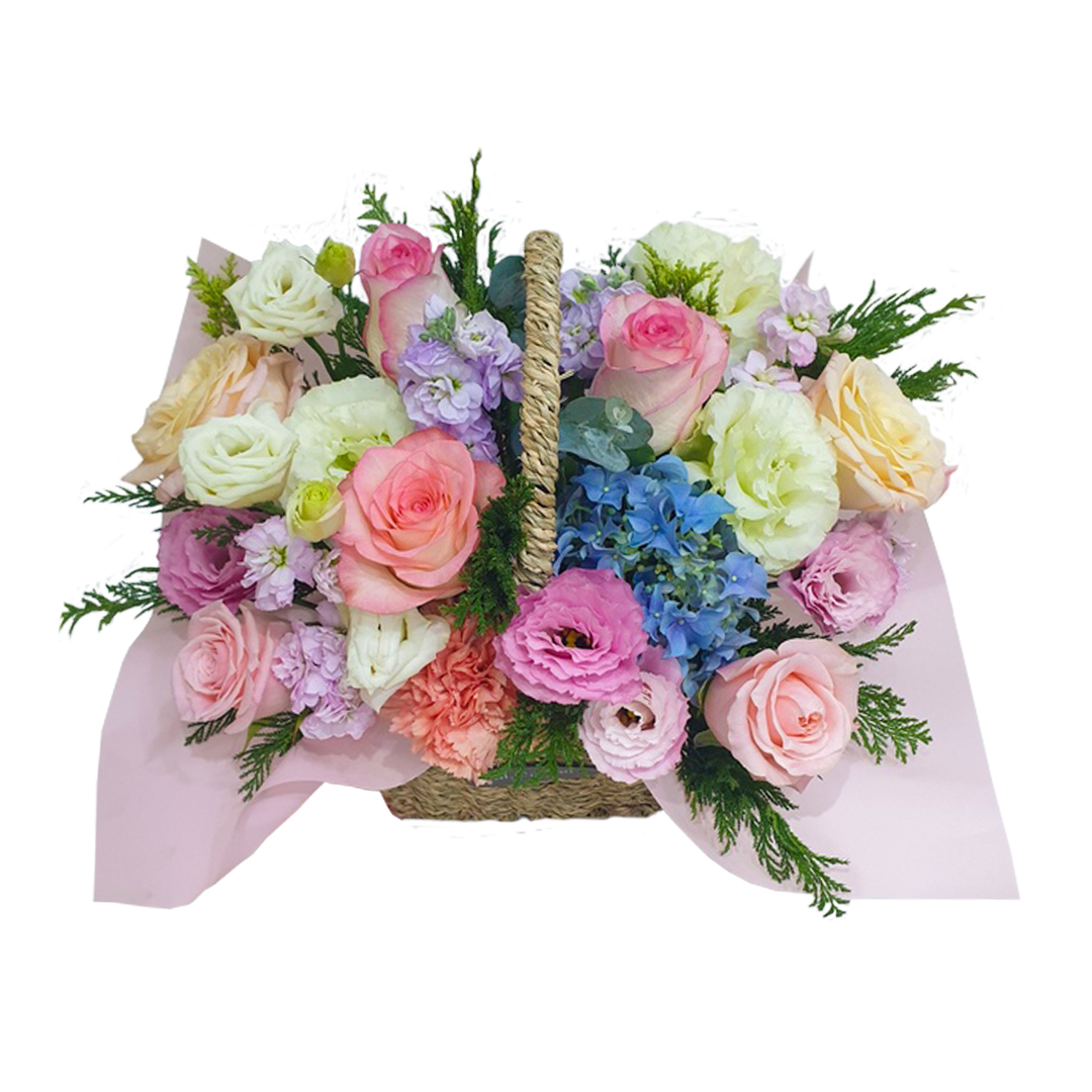 레인보우 로망스