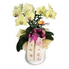 호접탁상용(노랑)