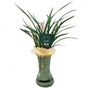 황룡금(청투각분)