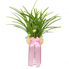 철골소심(일반분)