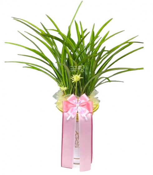 철골소심(일반분)