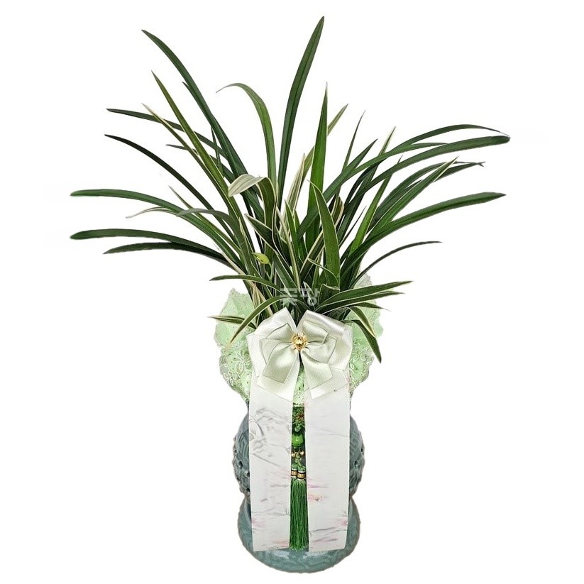 황룡금(투각분)A