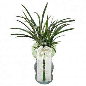 황룡금(투각분)A