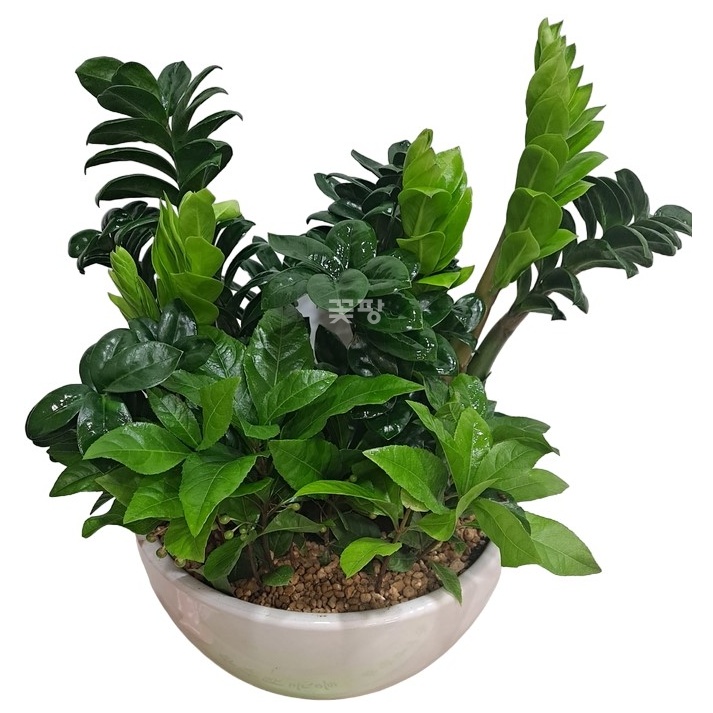 보석금전수혼합