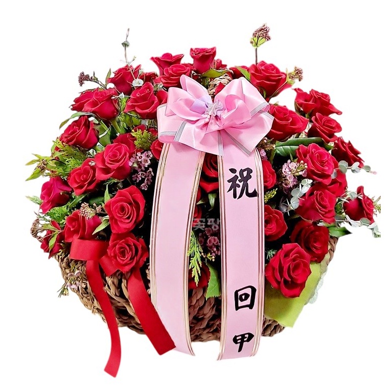 그레이스(회갑)