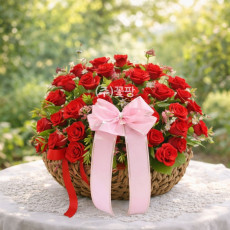 그레이스(회갑)