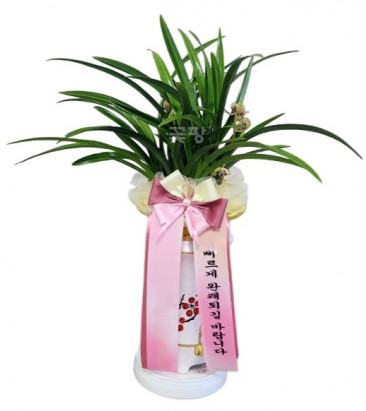 바인빈티지(일향금)